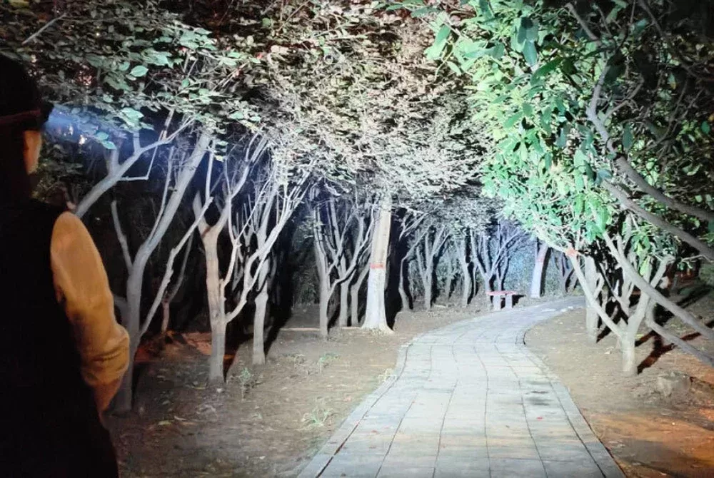 פנס ראש נטען USB עם 5 נורות LED - תמונה 3